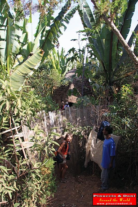 Ethiopia - Wolayta e la falsa banana - 3.jpg